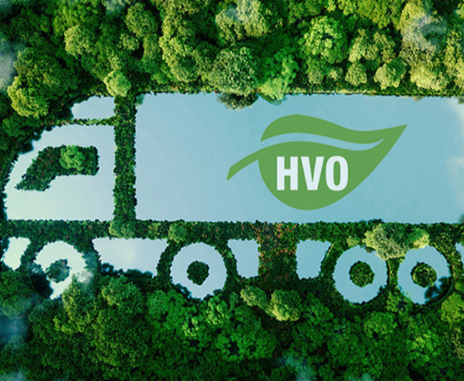 hvo